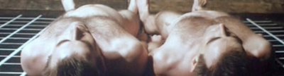 Dossier: Duplicadores y Falsarios